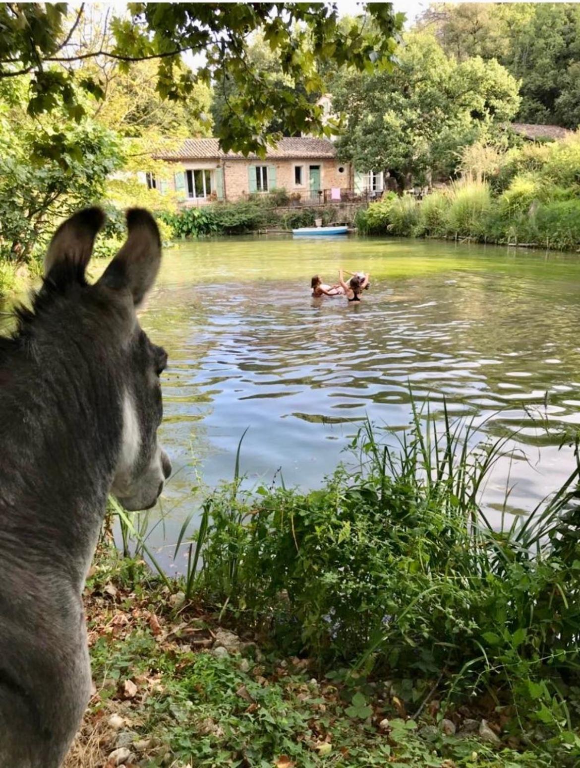 Le Moulin Haut Gites Villeneuvette Zewnętrze zdjęcie